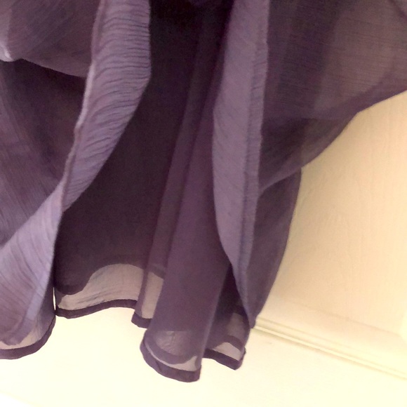 DONATED-EUC, Never Worn, Cheeky Sheer Mini Dress - Picture 6 of 11